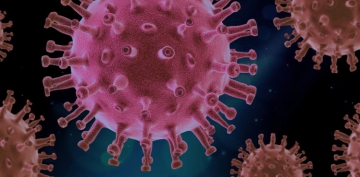 'Virüs mutasyonu hastalığı daha hızlı yayıyor'