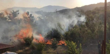 Hatay'daki orman yangını yerleşim bölgelerine sıçradı