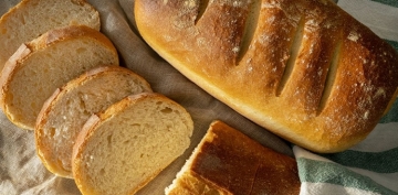 Ekmek Üreticileri Sendikası Başkanı gözaltına alındı