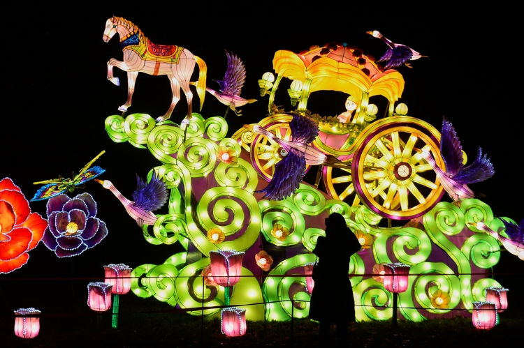 Polonya'nın Varşova kentinde yüz binlerce led ışık ve neon lamba kullanılarak yapılan Çin ışık festivali ziyaretçileri ağırladı. Festivalde çeşitli şekiller verilmiş 34 metal yapı ışıklandırılarak sergilendi.

