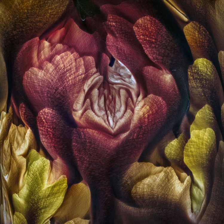 Yarışmada 2019 Soyut Havadan Görüntü Ödülüne layık görülen Avustralyalı fotoğrafçı Ignacio Palacios'un fotoğrafı, Brezilya'daki Lençóis Maranhenses Ulusal Parkı'nda çekildi.
