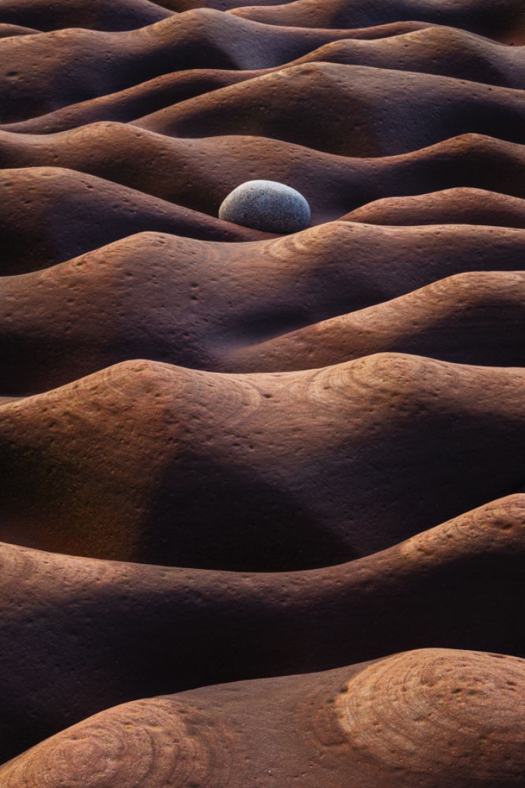 Yarışmanın kazananı Rus Oleg Ershov'un Fleswick Bay isimli çalışması.
