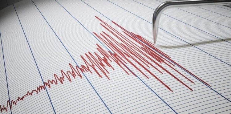 Van'da 4.9'luk deprem