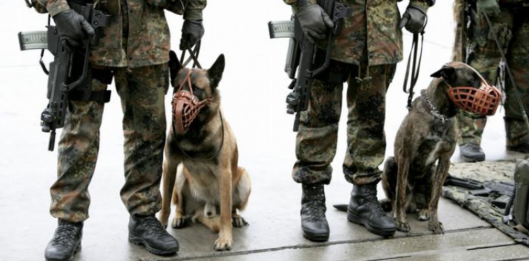Köpekler koronanın kokusunu alıyor
