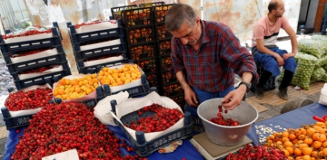 Şubat ayında enflasyon yüzde 12,37'ye yükseldi