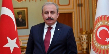 TBMM Başkanı: Bazı suçlara idam cezası düşünülebilir