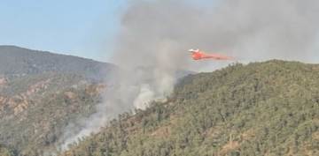 Marmaris’te orman yangını