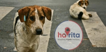Havrita’ya erişim engeli