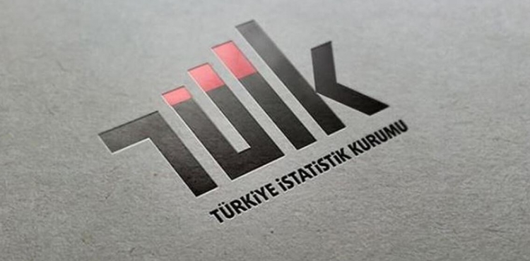 TÜİK'te 1 yılda ikinci başkan değişikliği