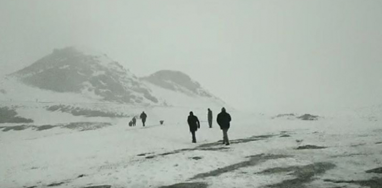 Bitlis'te helikopter düştü: 11 şehit!