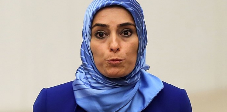 AKP'li Taşkesenlioğlu, Mine Tozlu Sineren'le görüştüğünü kabul etti